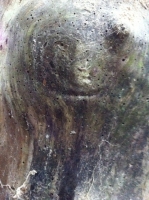 Tree Trunk Face