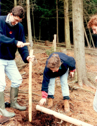 Planting in 1990