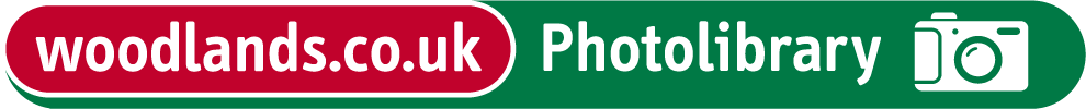 Woodlands Photolibrary logo