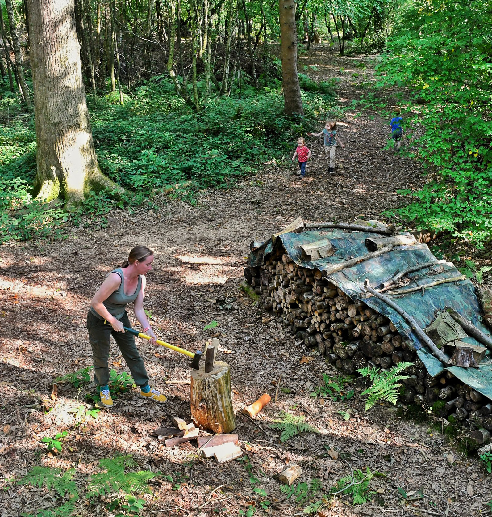  Woodlands for sale in the UK