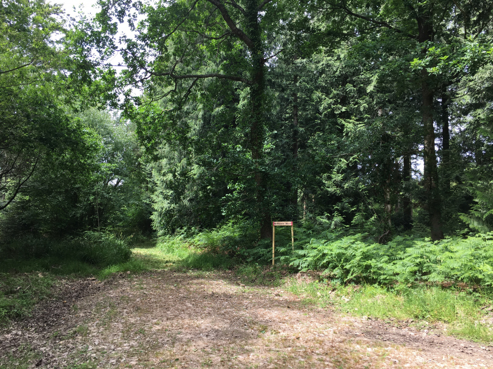 Woodlands for sale in Central England Woodlands.co.uk