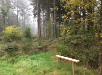 Boseley Wood