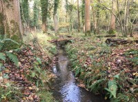 Brickworks Wood