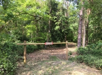 Cinder Wood