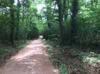 Crendell Wood - SOLD