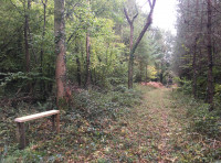 Durle Wood - SOLD