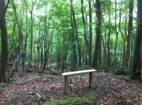 Fairfield Wood