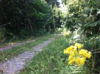 Farrow Wood - SOLD