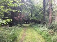 Hemlock Wood - SOLD