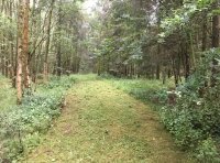 Hostler Wood - SOLD