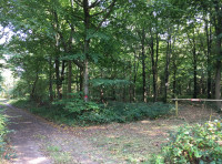 Parva Wood
