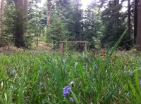 Redwood Copse - SOLD