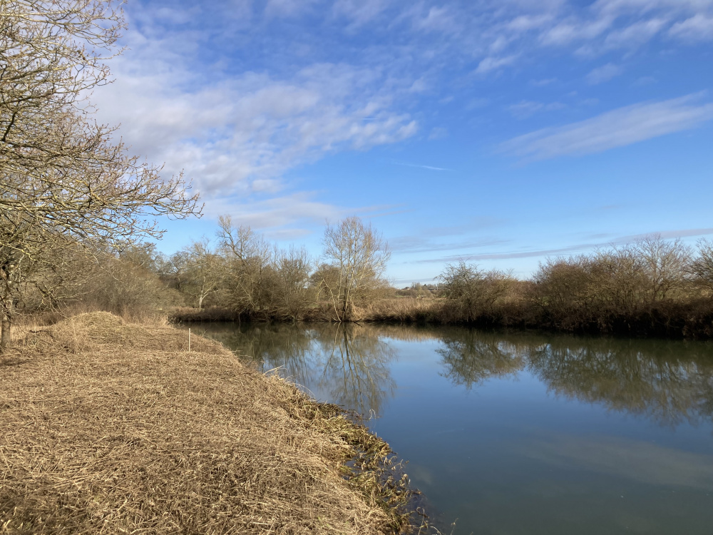 At the water's edge