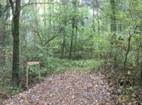 Round Hill Wood - SOLD