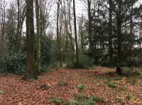 Roundhead Wood - SOLD