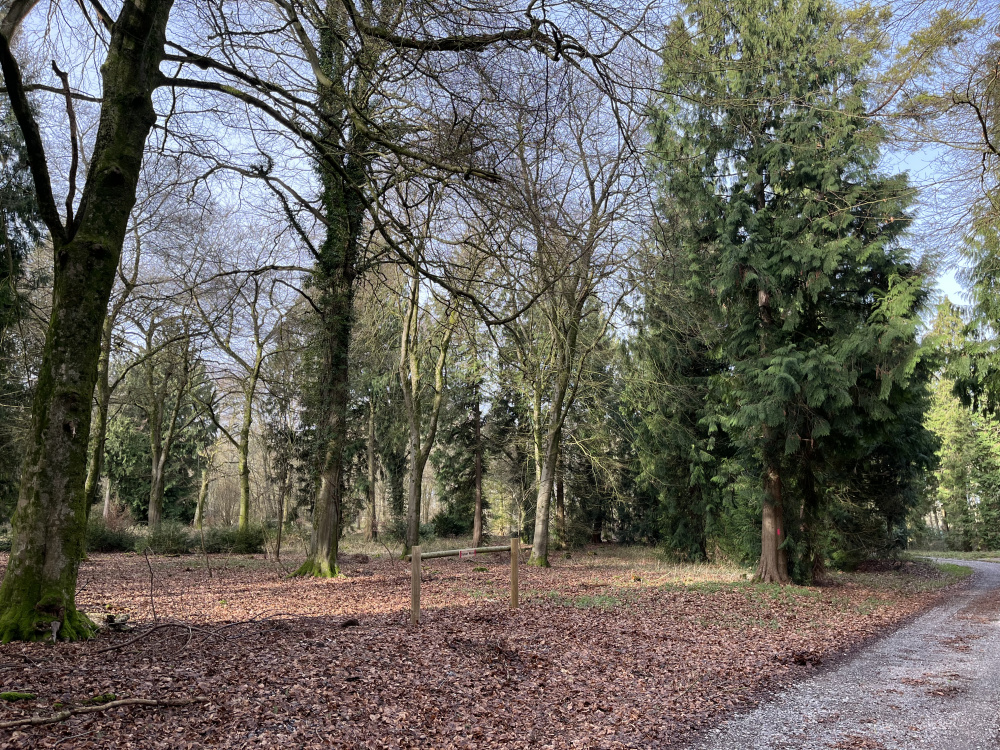 The entrance beside the access track