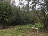 Throop Wood - SOLD