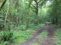 Wharf Wood - SOLD