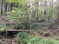 Wintle Wood - SOLD