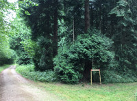 Woolgather Wood - SOLD