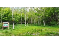 Boasley Wood - SOLD