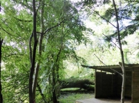 Briarcroft Wood