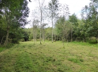 Cowsen Wood - SOLD