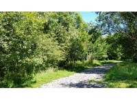 Gogwell Wood - SOLD