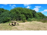 Gover Wood - SOLD