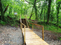 Hawkers Wood - SOLD