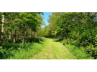 Highwaymans Wood