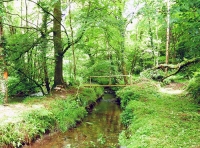Lestow Wood - SOLD