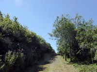 Lord's Wood - SOLD