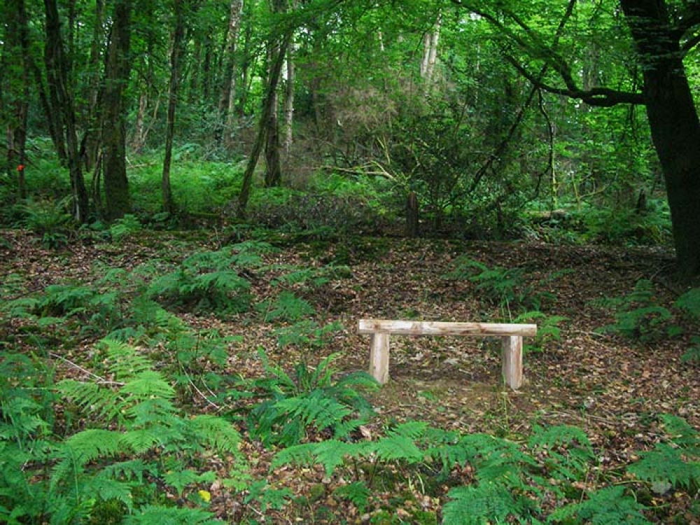 teak corner shower seat- discontinued
