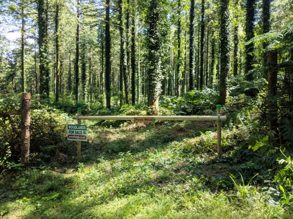 Entrance to the woodland