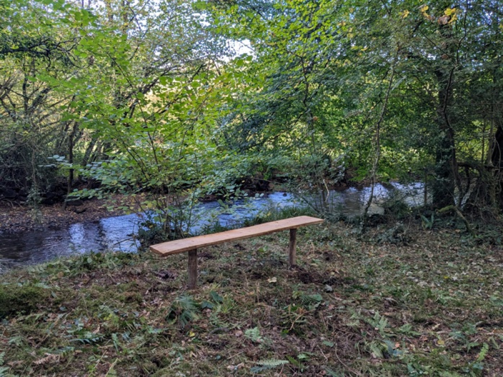 Bench on the banks of the river Inny in the communal area