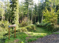 Trekelland Wood - SOLD