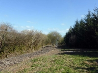 Trelay Wood - SOLD