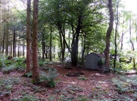 Treven Wood - SOLD