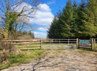 Wolf Wood - SOLD