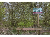 Brookfields Wood - SOLD