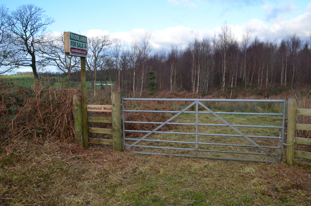 Roadside entrance 