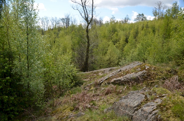 Mixed habitat