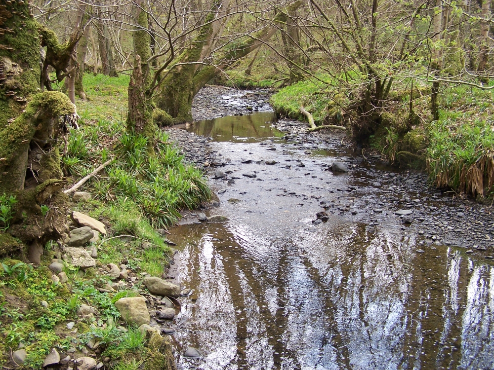 Coal Beck