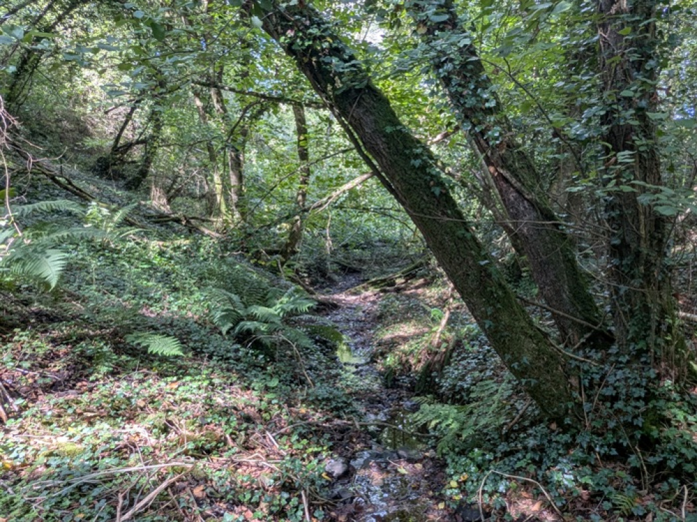 Part of the stream is within the boundary