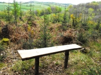 Arrishes Wood - SOLD