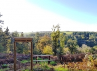 Beauchamp Wood