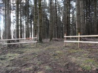 Benedicts Wood