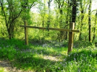 Collacott Wood - SOLD