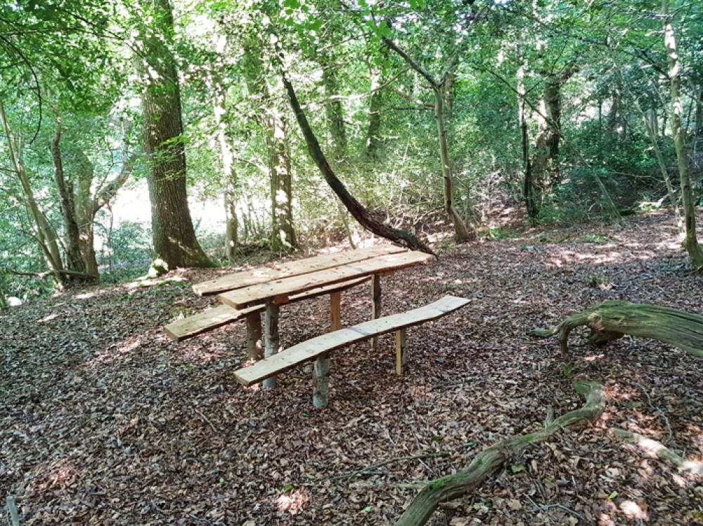Rustic picnic bench in  the older part of the woodland
